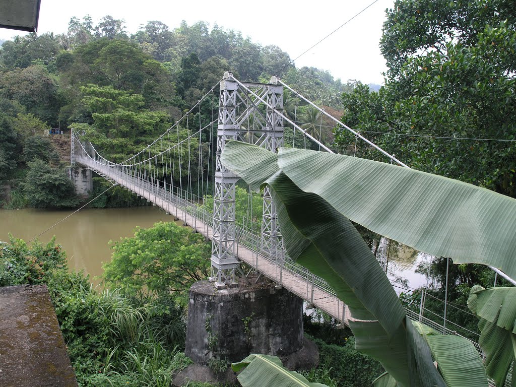 Rope Bridge by Vlastimil Němec