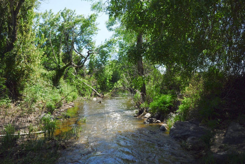 River by David Humphreys