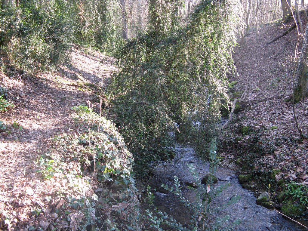 Sentier, ruisseau de la Drize by Paul Myers