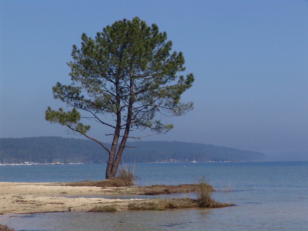 Vue sur le lac de Cazaux by arthur11