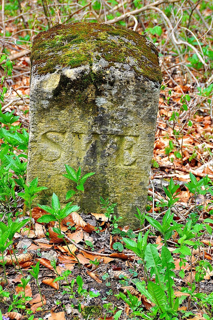 Alter Grenzstein im NP Hainich [Sachsen-Weimar-Eisenach] by ThüringerWandervogel