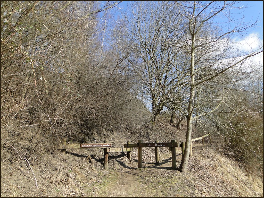 Hier geht es zum Rundweg an der Liether Kalkgrube, April 2013 by Dan-Fan