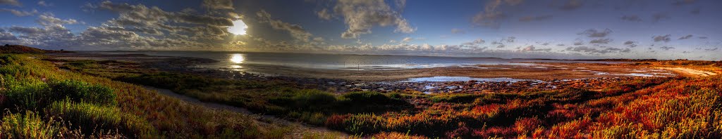 Jacks Point by Wade Homewood