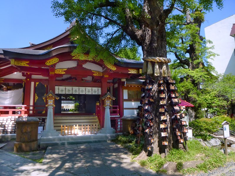 Minami senjyu (南千住 素盞雄神社) by posh208