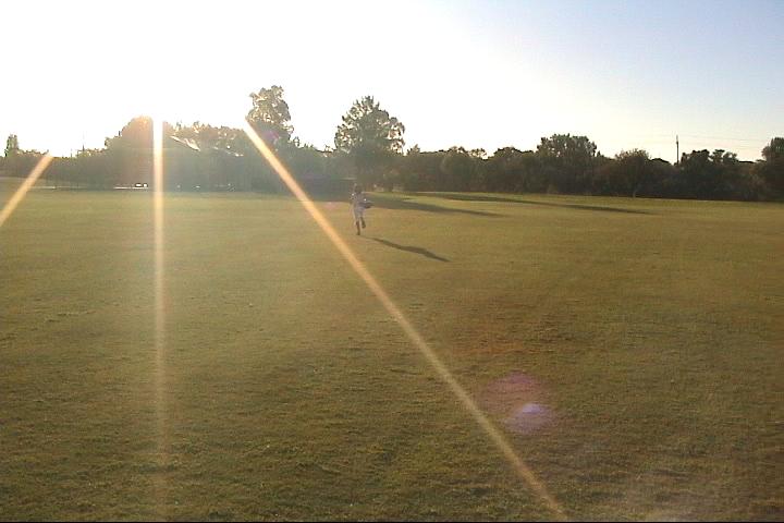 Maggie running on the grass field, Dec. 24, 2003 by yaotingt