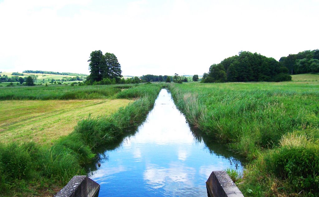 Białka k/ Krasnegostawu, Żółkiewka River by embe