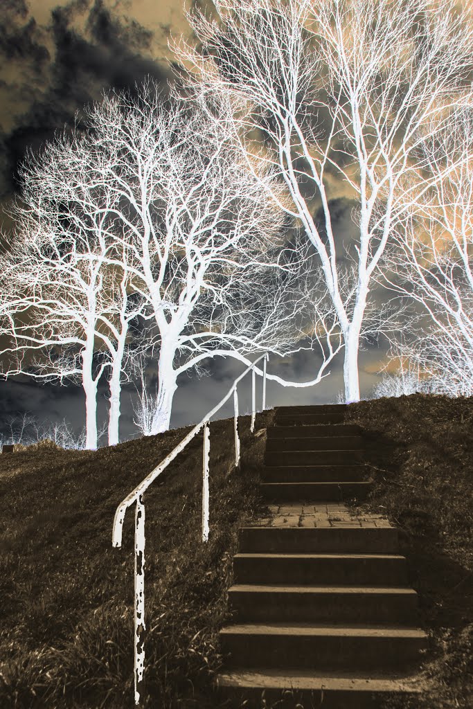 Flight of steps for manda by Heidiho