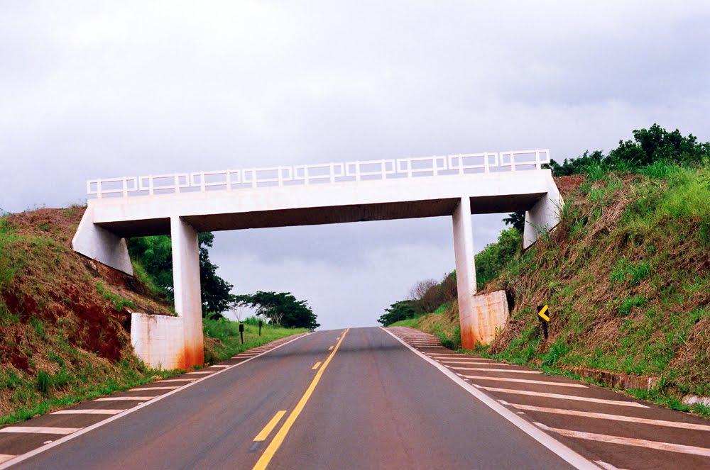 Pontilhão Próximo Ao Trevo De Tabatinga - SP by Zekinha