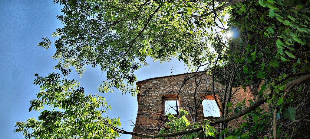 Casa en ruinas by Emo Durá