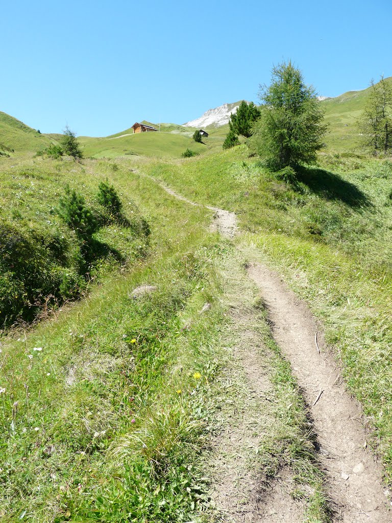 Salita verso il Rifugio Genova by Lorenzo Colombo