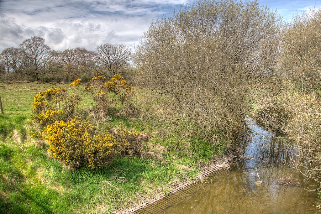 Lake outflow by Tankaroonies