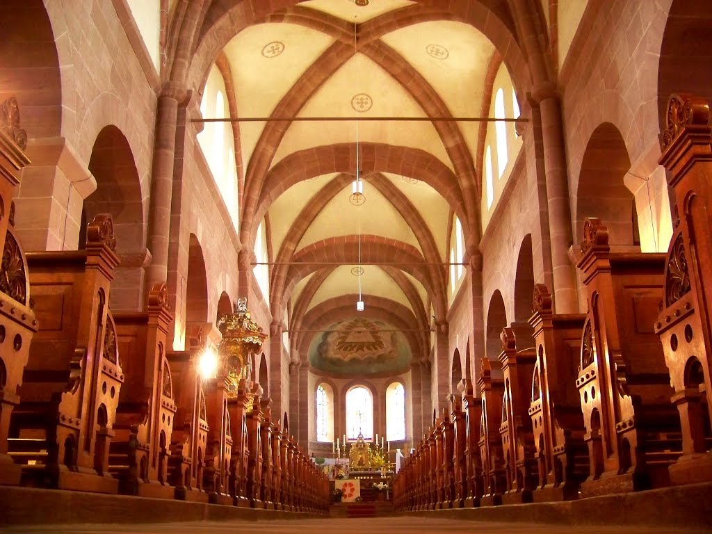 SAINT-JEAN-SAVERNE - L'ÉGLISE by mexicori