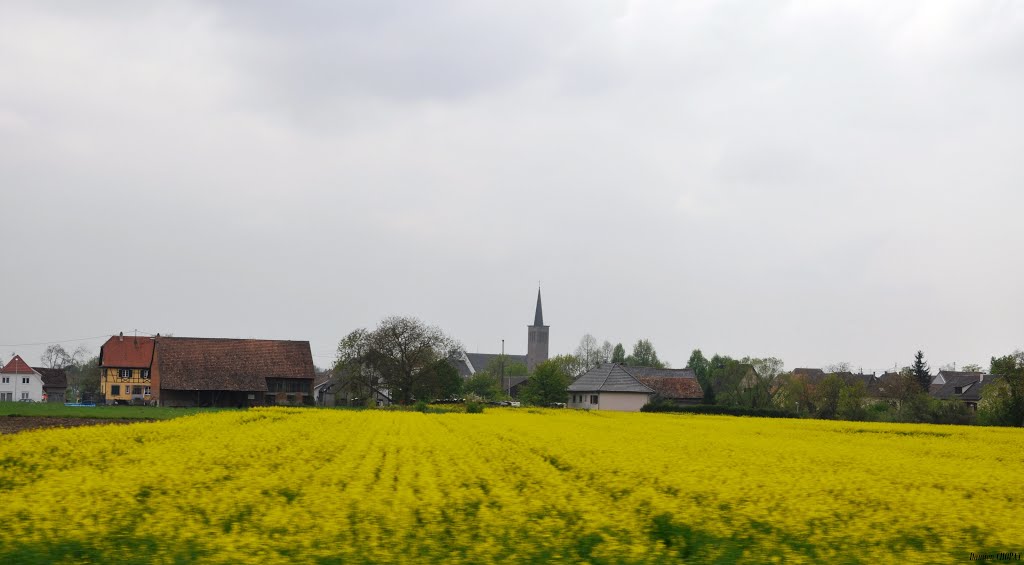 Et au Milieu...La Petite Eglise by Damien CHOPAT