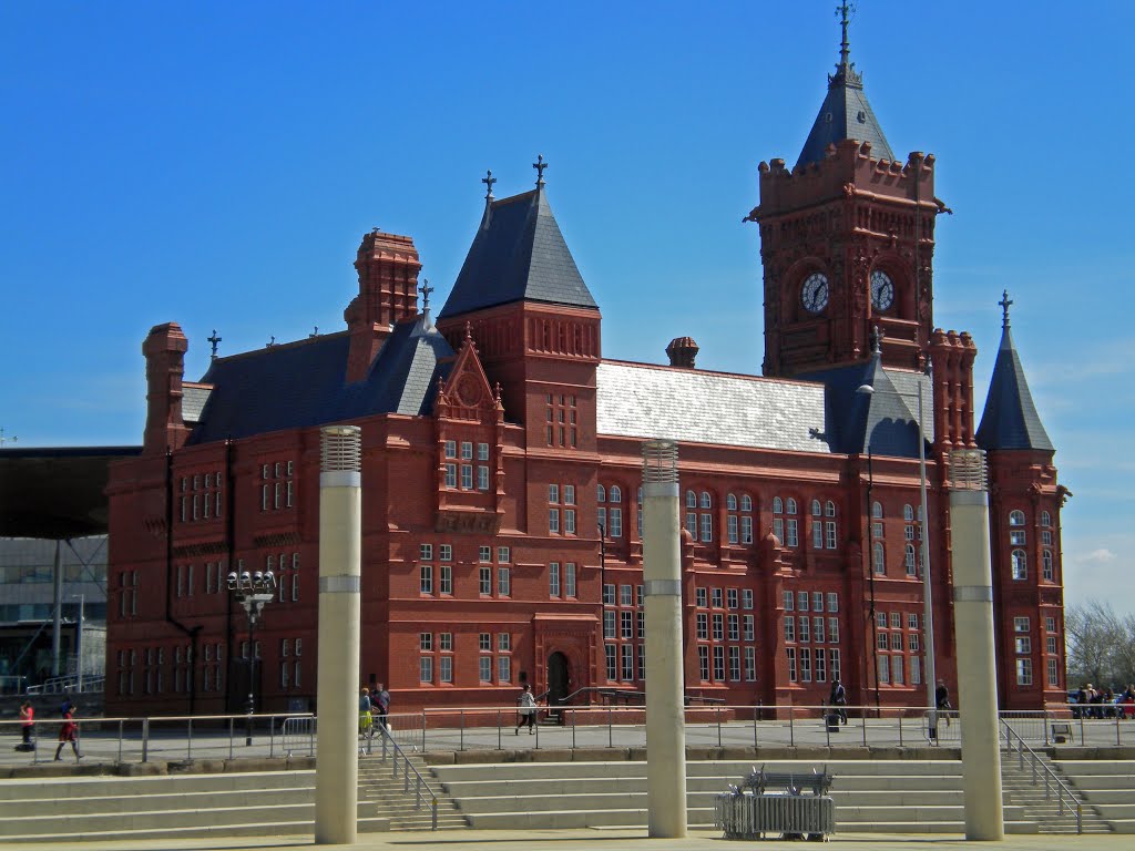 Cardiff Bay by David Owen