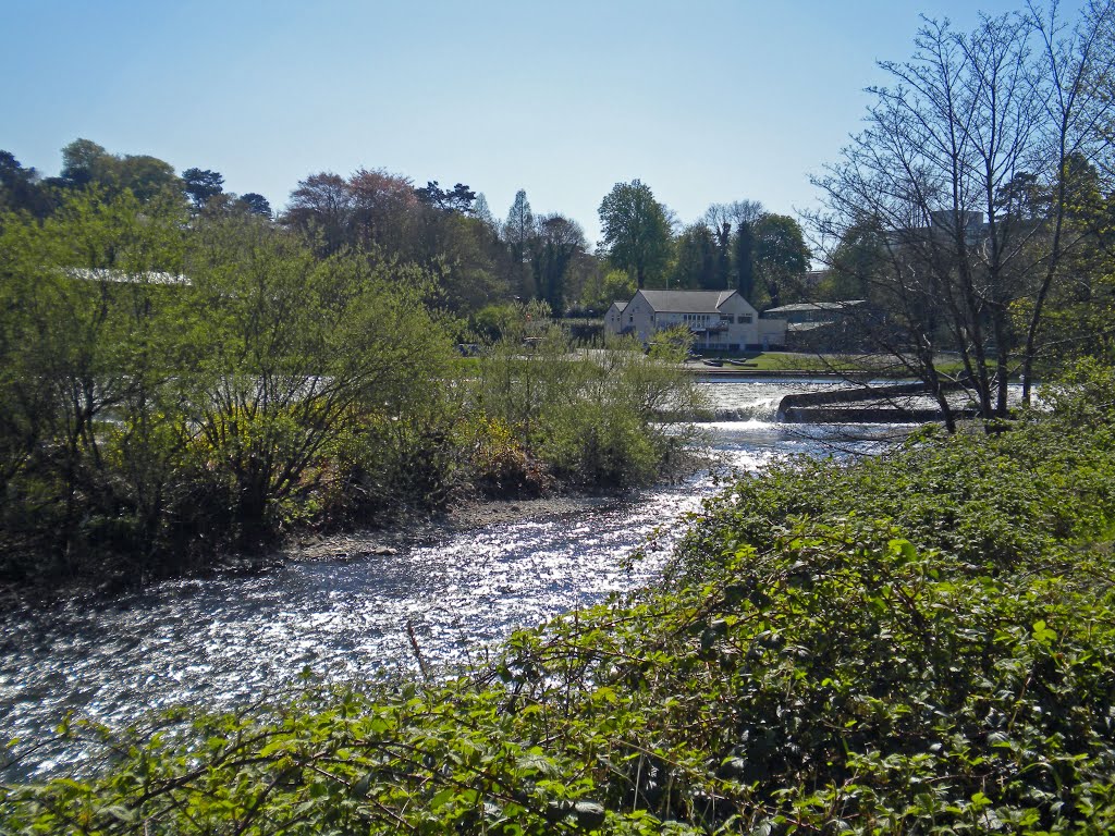 Llandaff by David Owen