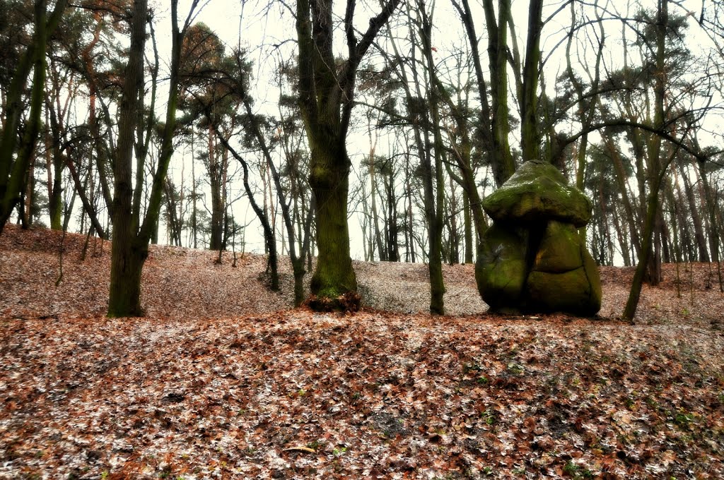 Chojnów - Park Piastowski by Adrian Sarczyński