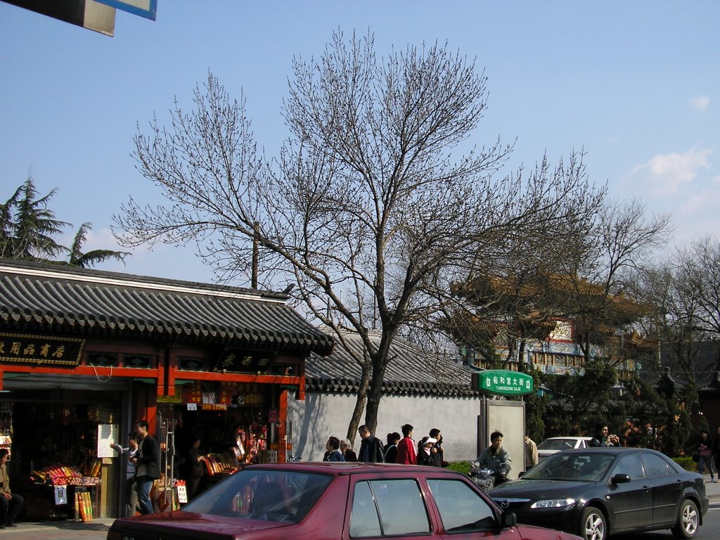 雍和宫1 - Lama Temple 1 by Samfu