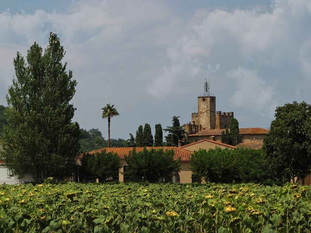 Through the sunflower field - Ainsa , Aragonés by eva lewitus