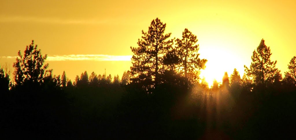 Sunset ,McCall Idaho by Neale J