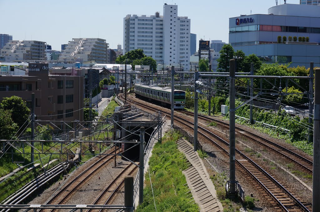 Yamate Line by invictusitic