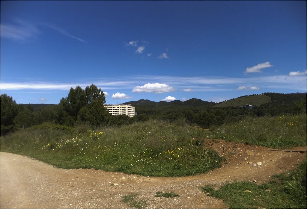 Camí Llac Petit - Terrassa by martamas