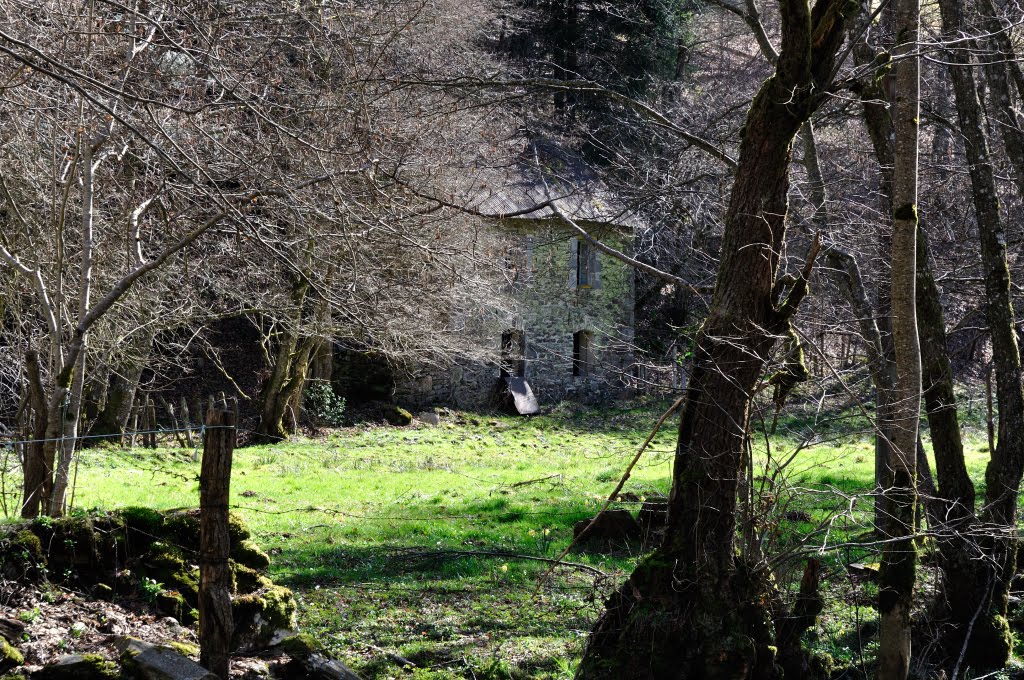 Chemins de fer d'Auvergne. by Tireman.