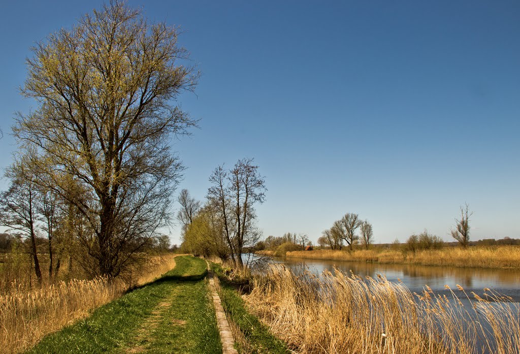 Angles Way Path by DAVHAR