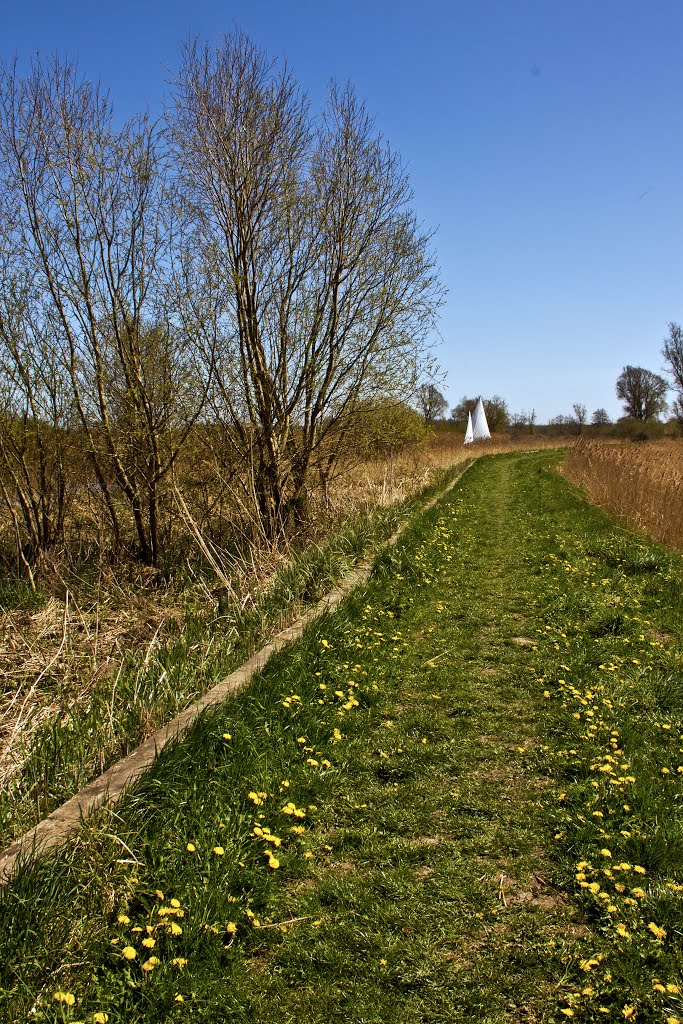 Angles Way Footpath near Worlingham by DAVHAR