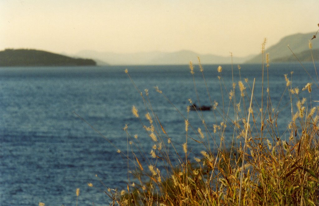 View to Adriatic sea from peninsula Lapad by IPAAT