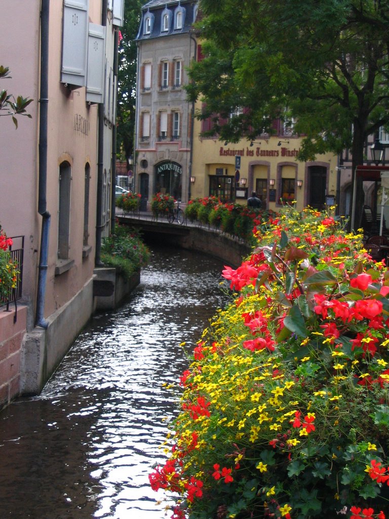 Lavoir (Petite Venise à Colmar) by André Auger