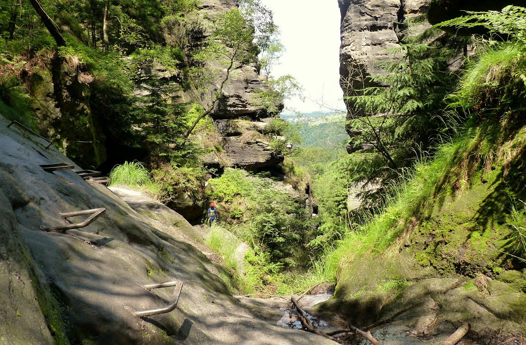 Wilde Hölle - Elbsandsteingebirge by Ronny Siegel