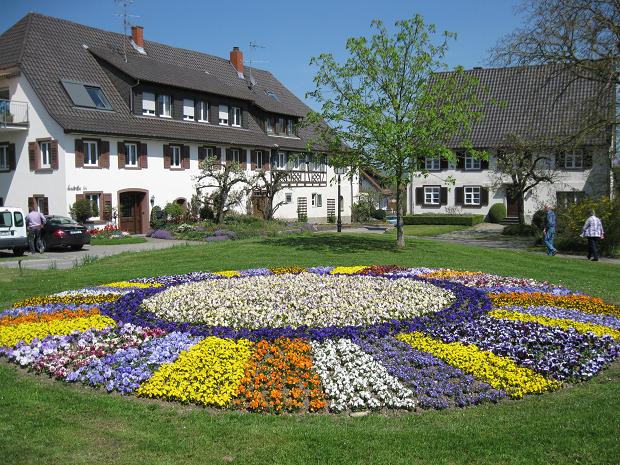 Reichenau Frühling in Mittelzell by hubi1802