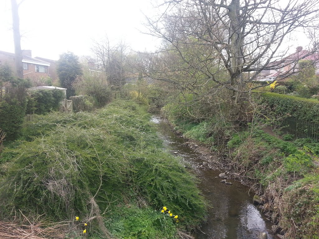 Rainton Bridge Beck by paulosbrumbos