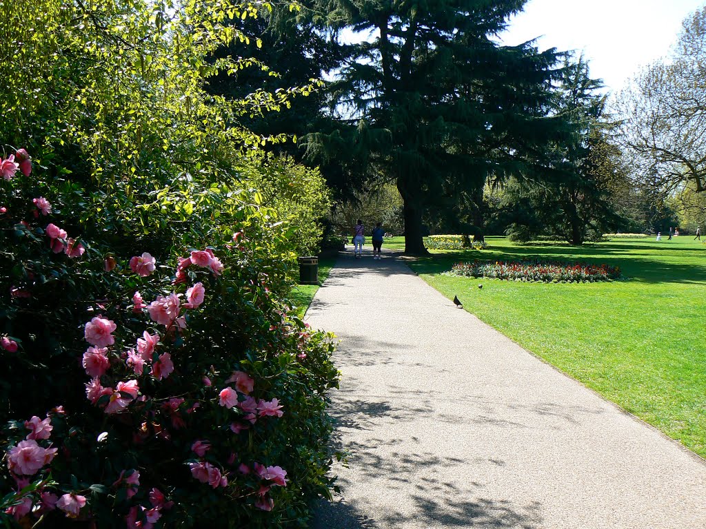 Greenwich Park by Mihalec Hedvig