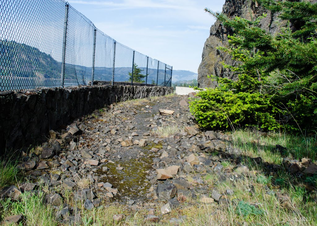 Old Historic Highway Pavement at Mitchell Point (2013) by A. F. Litt