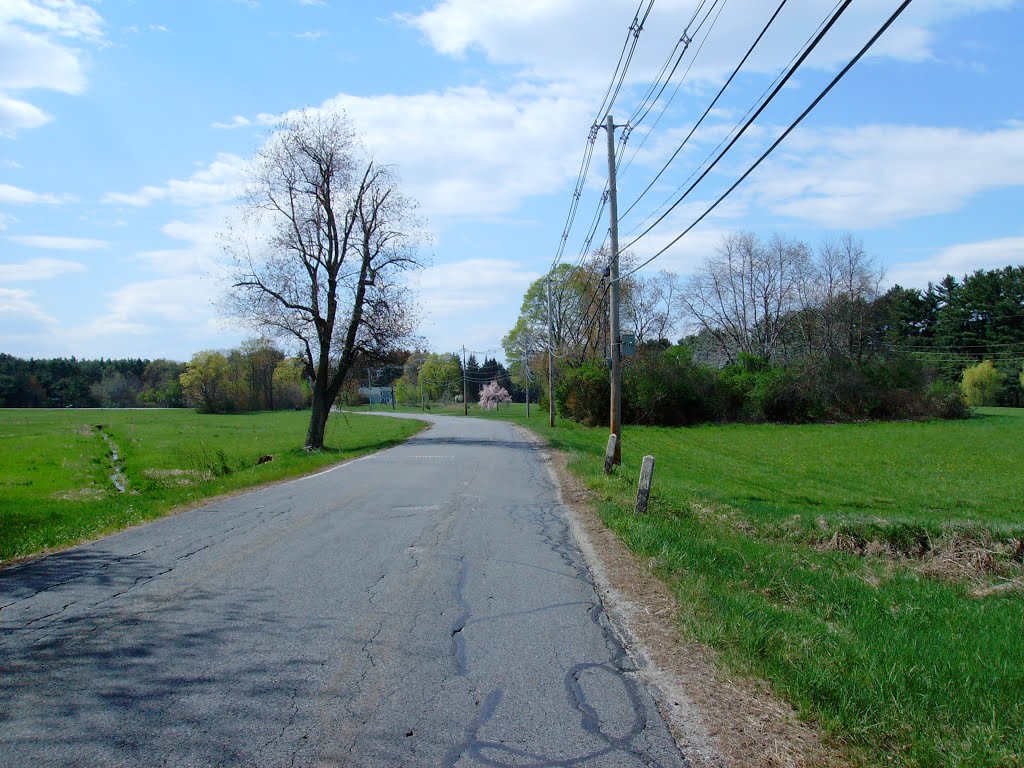 Old Northborough Rd. Southborough, Ma. [3] by Papabarn