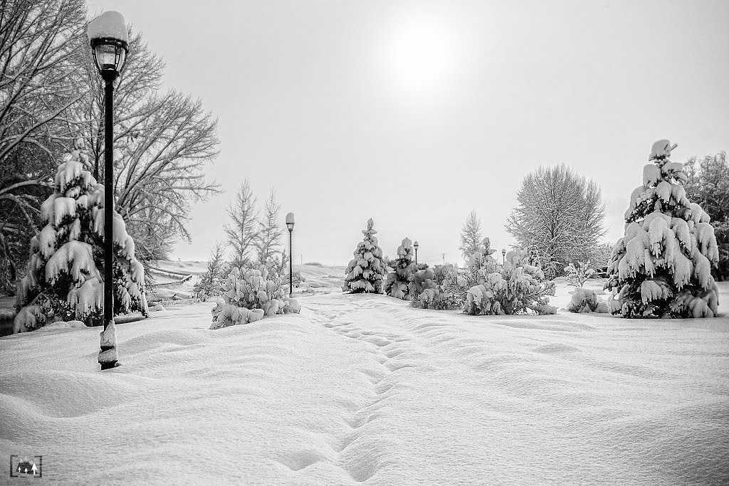 Ronan City Park, Winter by cordellphoto