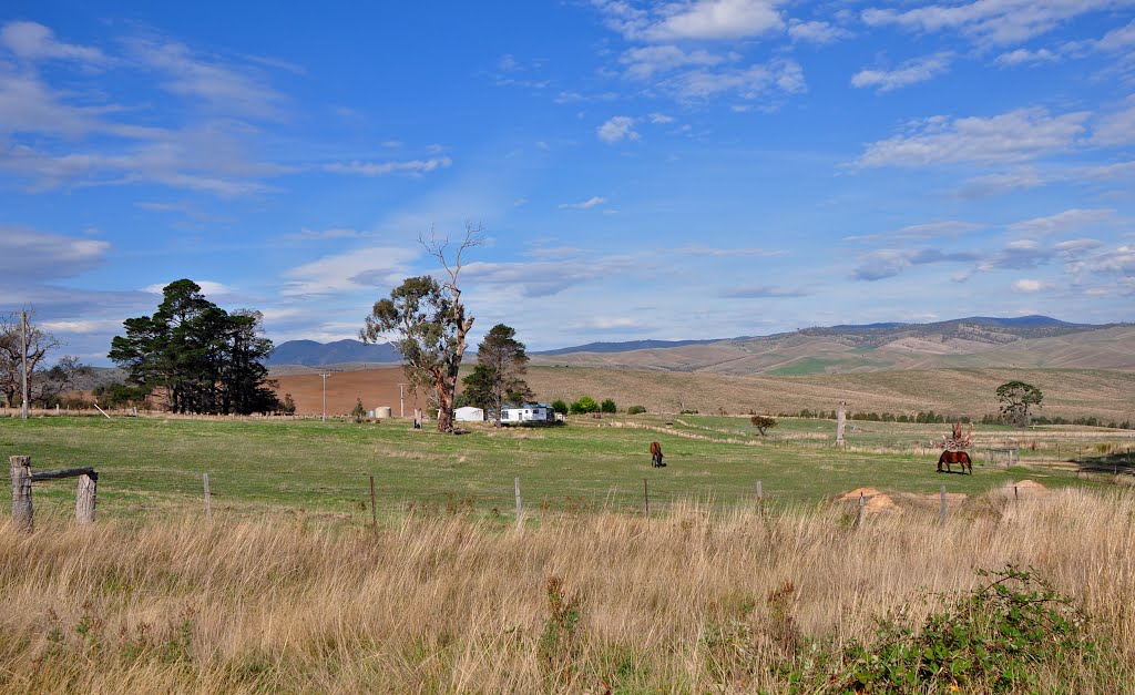 Omeo Valley Road- hello Les! by Inspector H snaps