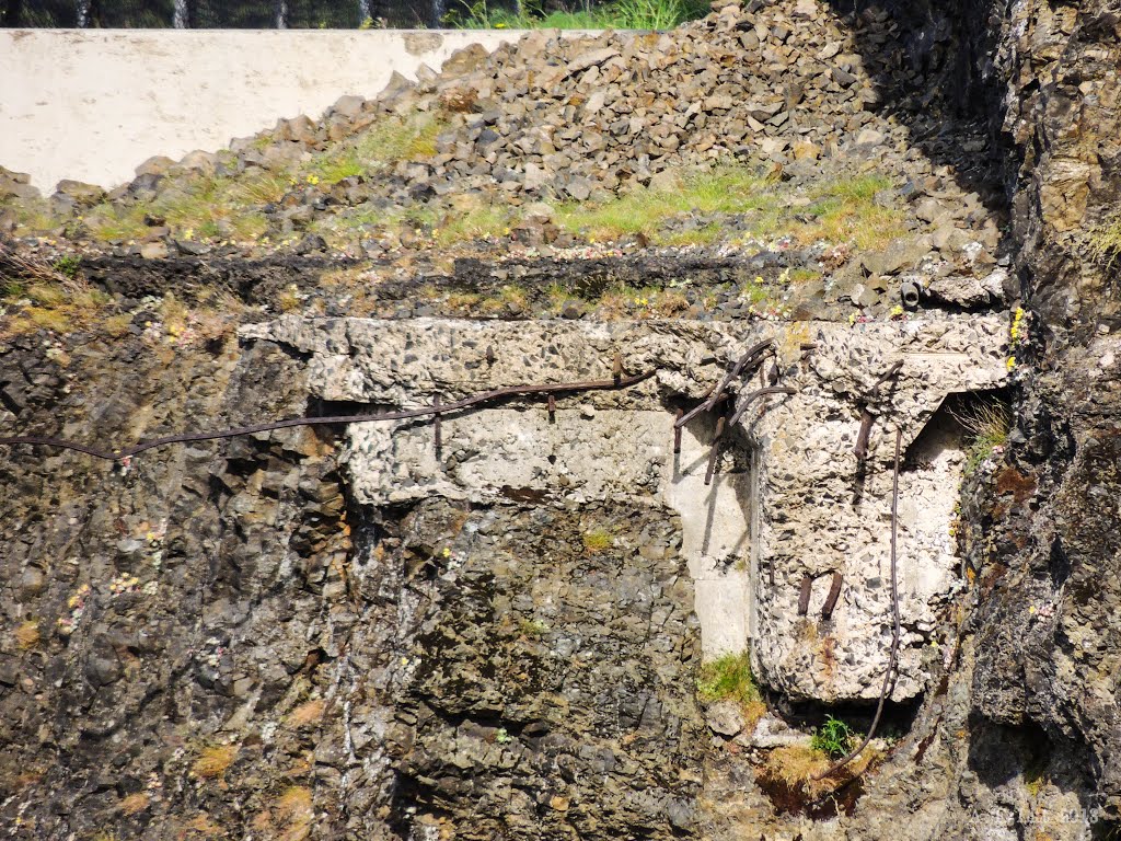 Viaduct Remnant (2013) by A. F. Litt