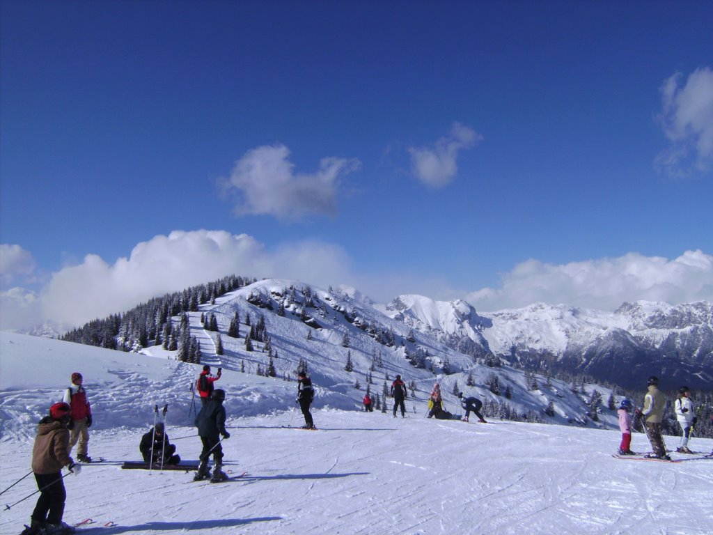 Schladming - Planai - Blick Richtung Dachstein by Irmgard Lorenzen