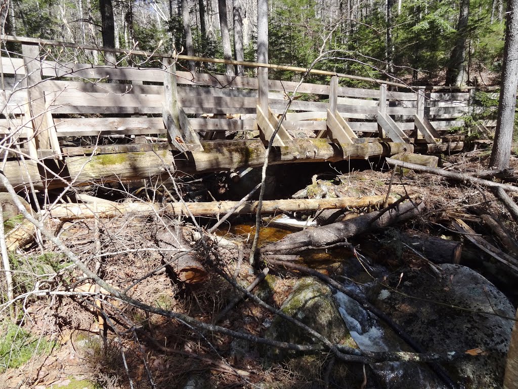 Bridge on the Arethusa Falls trail by Taoab