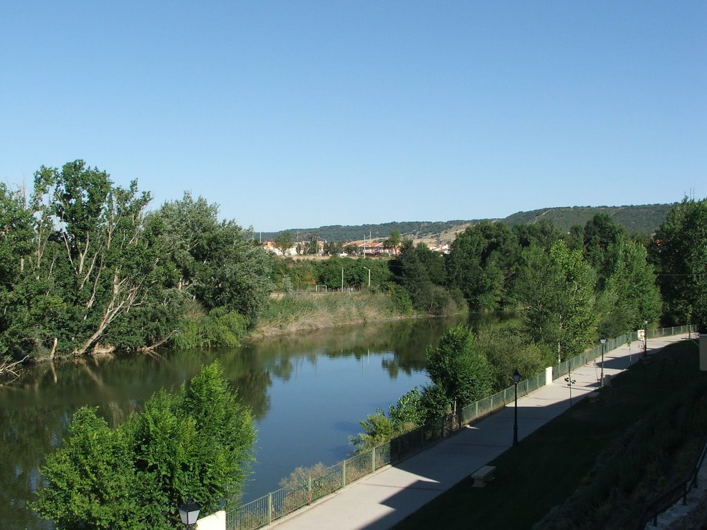 Ribera del Duero by Nacho Vegas