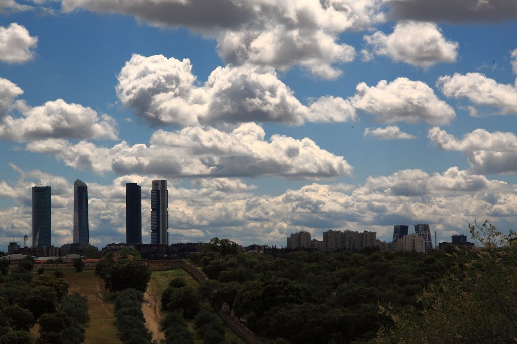 Vista desde La Quinta de El Pardo - Madrid by F. Campayo -  VIEWS, NO THANKS