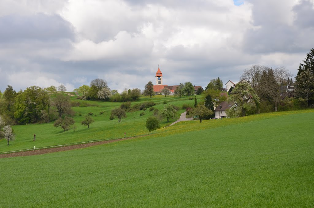 Brütten im Frühling by Steven Hoa Chen