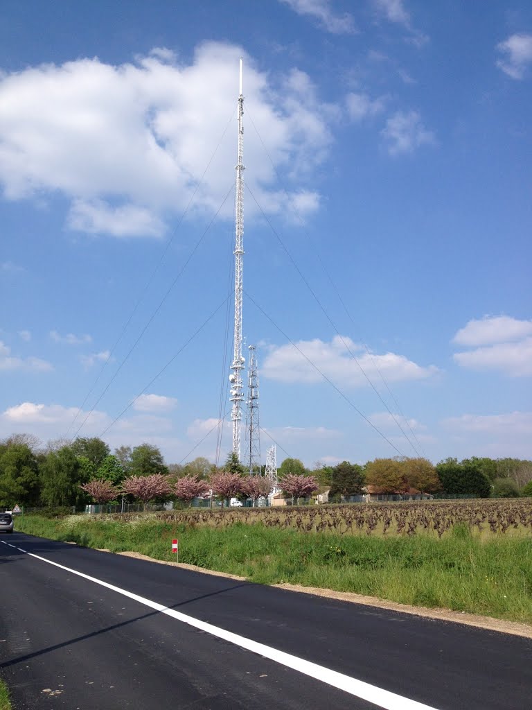 Antenne de la Louée (2013) by DANIEL LELOUP