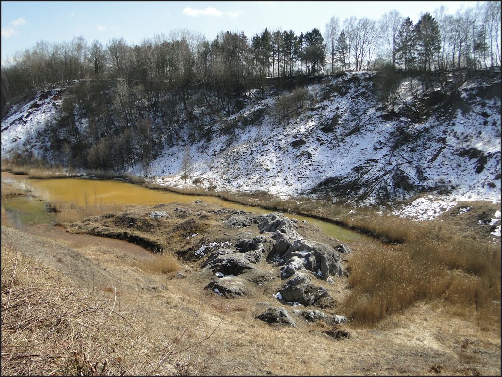 Blick auf den "Gipshut" in der Liether Kalkgrube, April 2013 by Dan-Fan