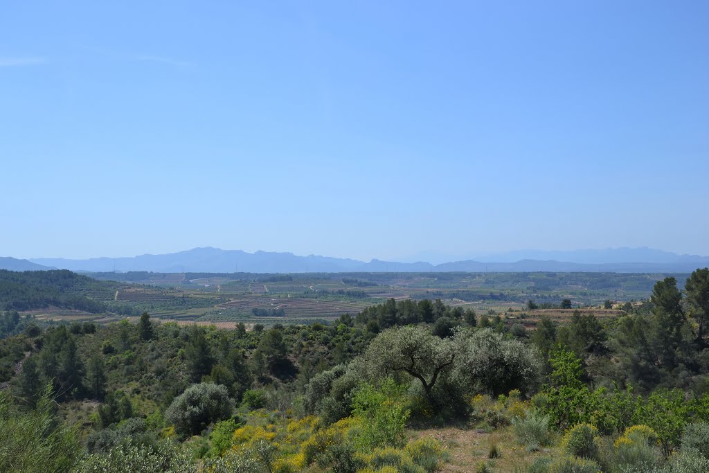 Clos Berenguer: vista al Sur, abr.2013 by Can Tres