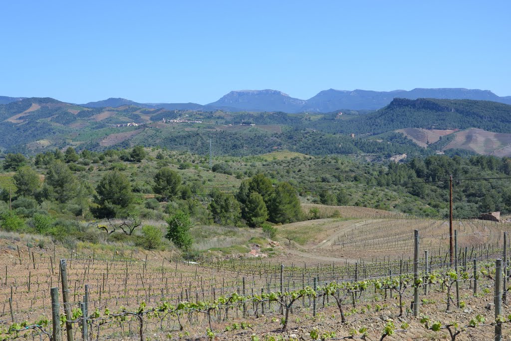 Bellmunt del Priorat desde la Solana, abr.2013 by Can Tres