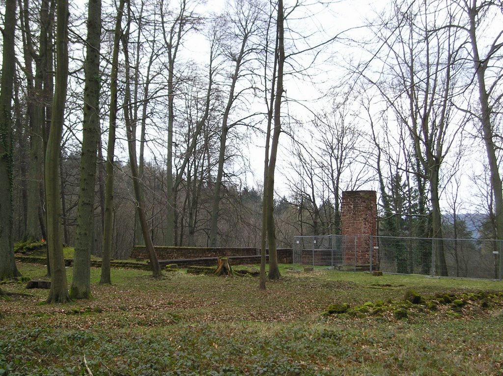 HOMBURG - Schloss Karlsberg - Orangerie by Andreas Andel