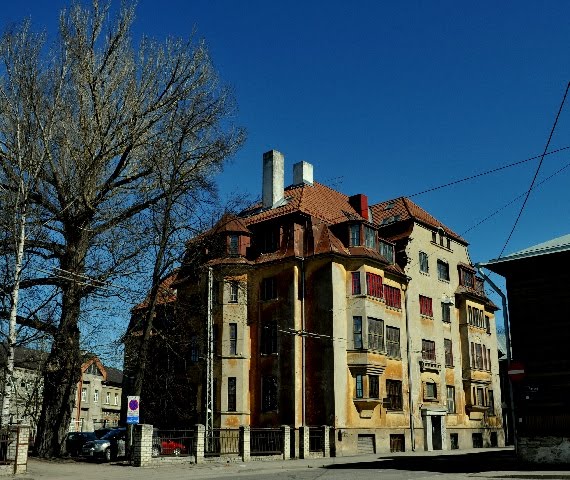 DWELLING HOUSE (Elumaja) by Marek Pedask